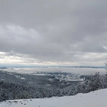 Apartmán Divčibarski Vidik